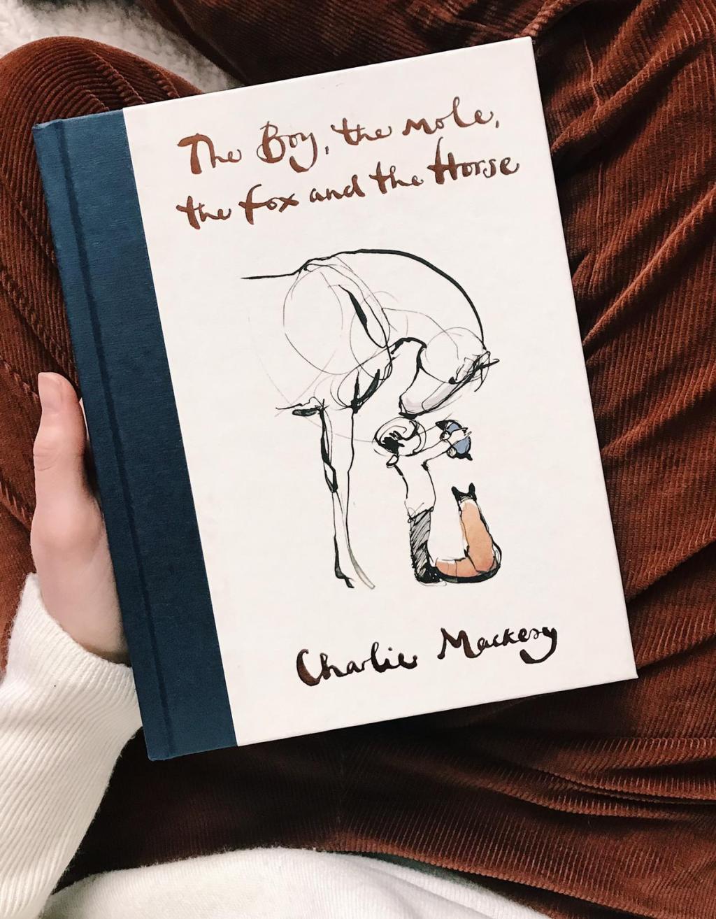 The boy, the mole, the fox and the horse